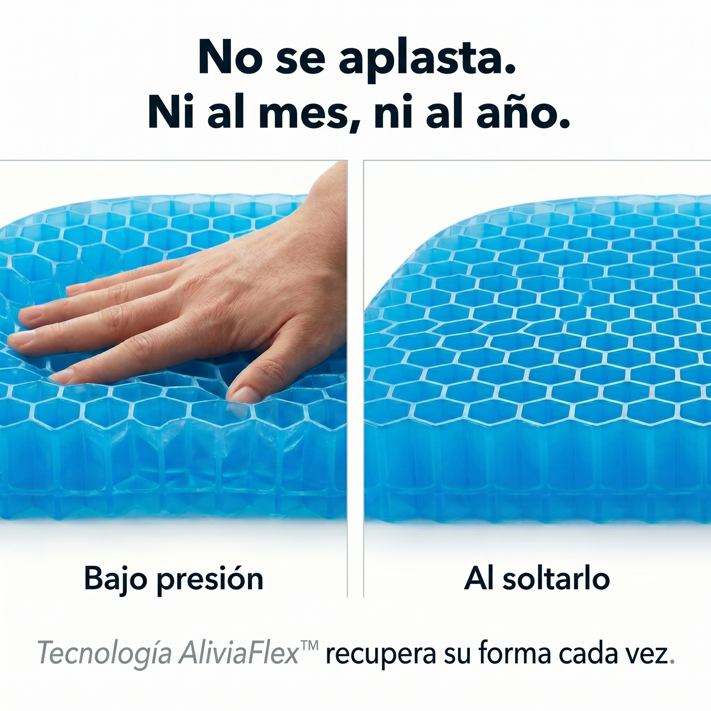 ComfyGel Asiento+